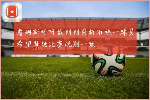 詹姆斯呼吁裁判判罚标准统一球员希望每场比赛规则一致