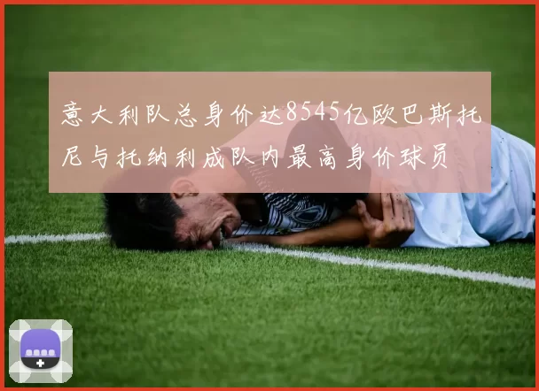 意大利队总身价达8545亿欧巴斯托尼与托纳利成队内最高身价球员