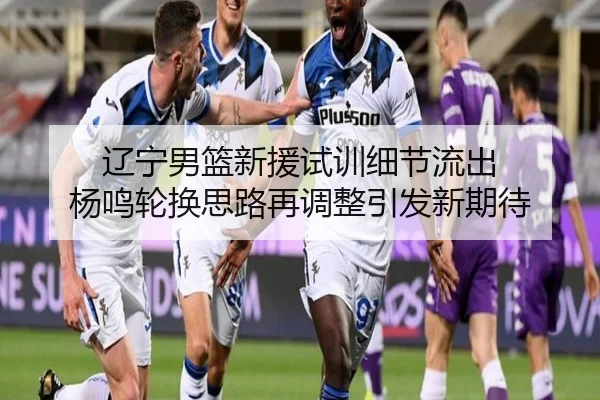 辽宁男篮新援试训细节流出 杨鸣轮换思路再调整引发新期待 - MILANESPORTS
